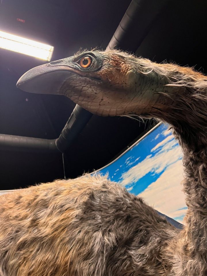 Der Galileo-Park eröffnet seine Ausstellungs-Saison mit dem Thema Artensterben.