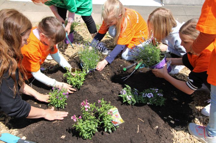 Gemeinsam bepflanzen die Kinder das neue Beet.