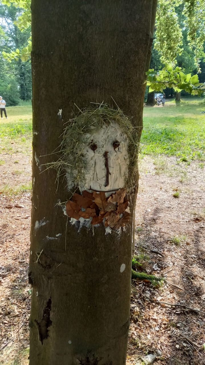 Impressionen von der Waldexkursion