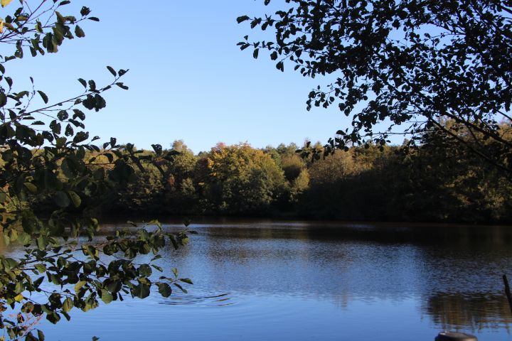 Der Weiher „Elritze“ in Hünsborn.