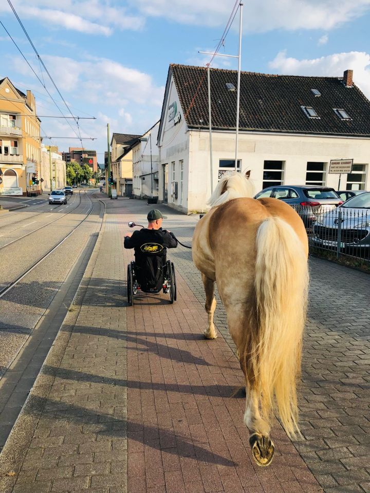 Mit Pferd und Handbike durch Dortmund.
