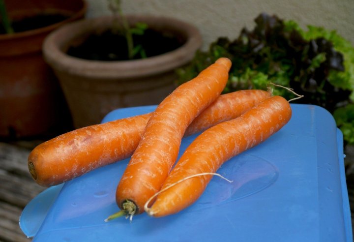 Mit einer Karotte-Ingwer-Suppe ist ein gesunder Start in den Frühling garantiert.