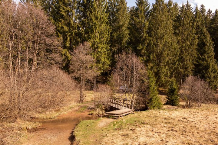 Einer seiner liebsten Arbeitsplätze befindet sich im Schwarzbachtal.