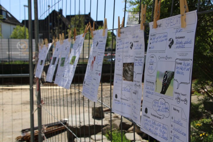 Im Rahmen der Projektwoche haben die Schüler viele Plakate und Basteleien rund um das Thema Wald angefertigt.