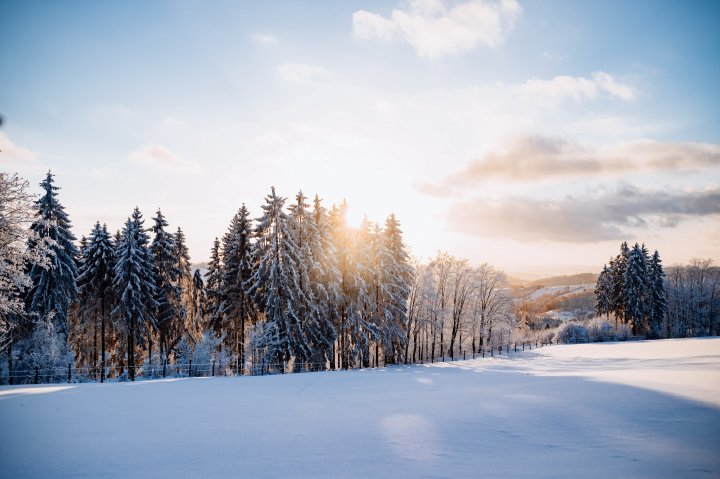 Weihnachtsgrüße aus Olpe – der eingeschneite Fahlenscheid.