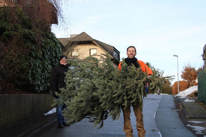 Beim Einsammeln der Weihnachtsbäume in Schönau und Altenwenden packen der Männergesangverein, der Junge Chor und der Kinderchor gemeinsam an.