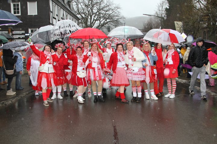 Impressionen vom Rosenmontagszug 2026 in Saalhausen.