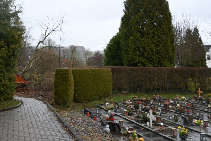 Die Fällung eines alten Baums auf dem Friedhof in Heggen sorgt in der Facebook-Gruppe „Du bist Heggen wenn...“ für Aufregung. Der Kirchenvorstand erklärt sich.