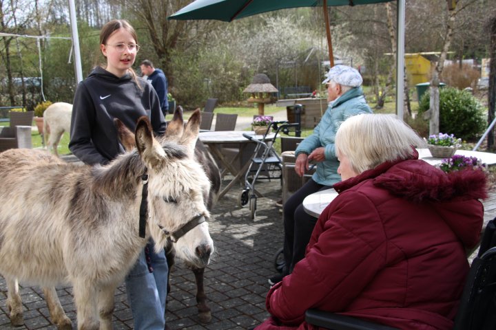 Das GFO Zentrum Rothemühle hat sich jetzt über tierischen Besuch gefreut: Familie Preuß aus Ottfingen kam mit ihren fünf Eseln vorbei.