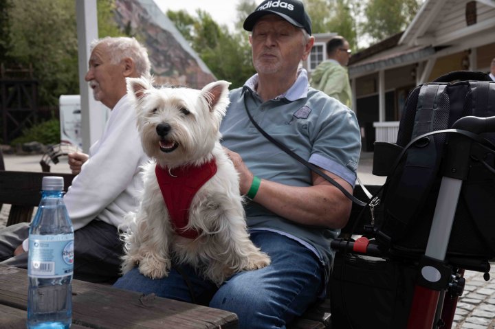 Impressionen vom Westie-Treffen auf dem Festivalgelände in Elspe.