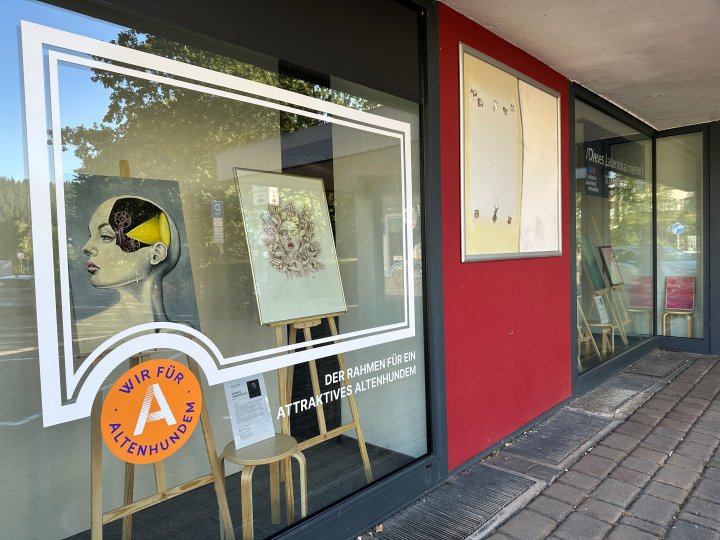Die Schaufenster von drei Ladenlokalen in Altenhundems Ortskern sind pünktlich zum Lennestädter Stadtfest zur Ausstellungsfläche für heimische Künstler geworden. Drei Monate lang werden hier Malerei, Fotografie und Skulpturen gezeigt.