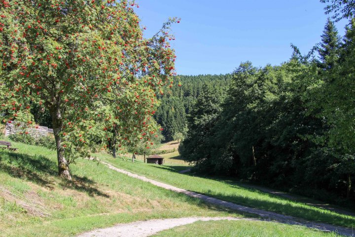 Ein kleines Dorf, das viel zu bieten hat: Im Kurpark und im Haus des Gastes in Oberhundem können Besucher einfach mal die Seele baumeln lassen.