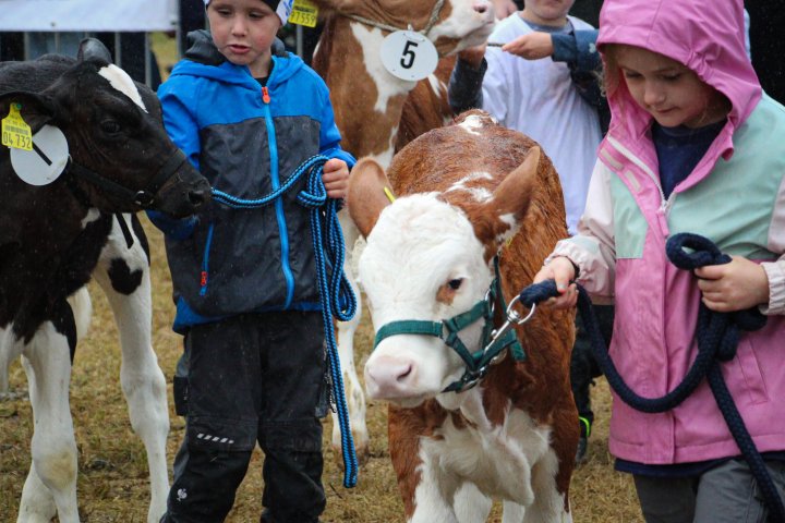 Impressionen von der Tierschau auf der Wendschen Kärmetze.