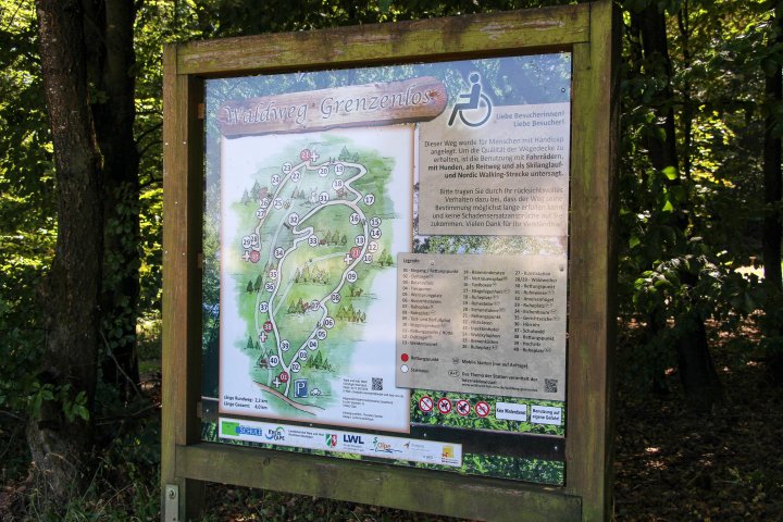 Ein Spaziergang auf dem Waldweg Grenzenlos in Olpe bietet eine Auszeit in der Natur – und ist dazu auch lehrreich und interaktiv.