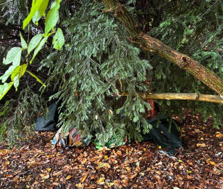 Gut getarnt war das Sonnensegel im Wald kaum zu erkennen. Trotz Brandlöchern und weiterer Schäden haben die Verantwortlichen von Grevenbrück Aktiv das Segel provisorisch wieder aufgehängt.