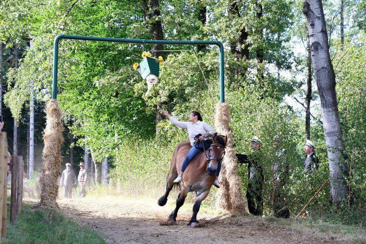 Impressionen vom Heimat- und Erntefest in Bühren, bei dem das Gänsereiten der Höhepunkt war.