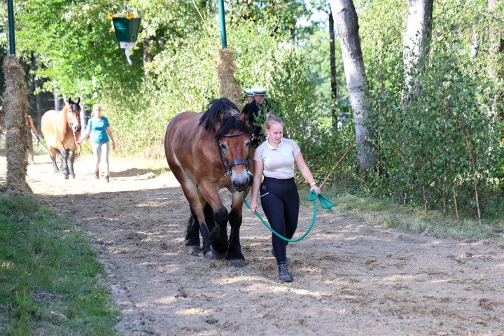 Impressionen vom Heimat- und Erntefest in Bühren, bei dem das Gänsereiten der Höhepunkt war.