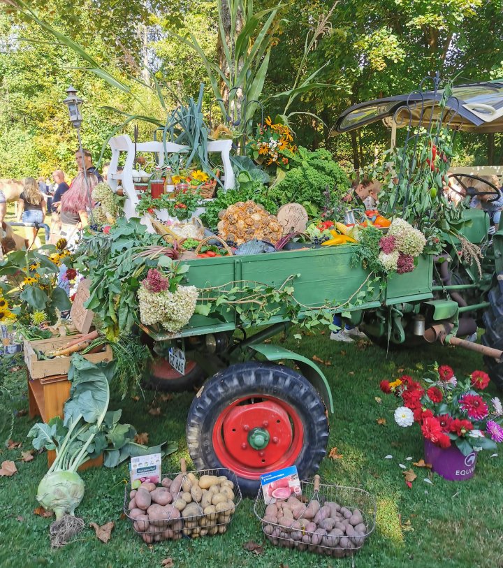 Für das Ernte- und Tierschaufest werden wieder aufwändige Erntewagen gestaltet.