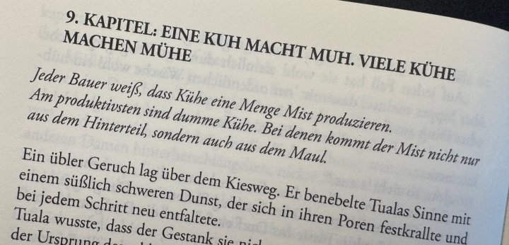 Jedes Kapitel beginnt mit einer (nicht immer ganz ernst gemeinten) Erklärung eines Sauerländer Begriffs, einer Tradition oder Eigenart eines typischen Sauerländers.