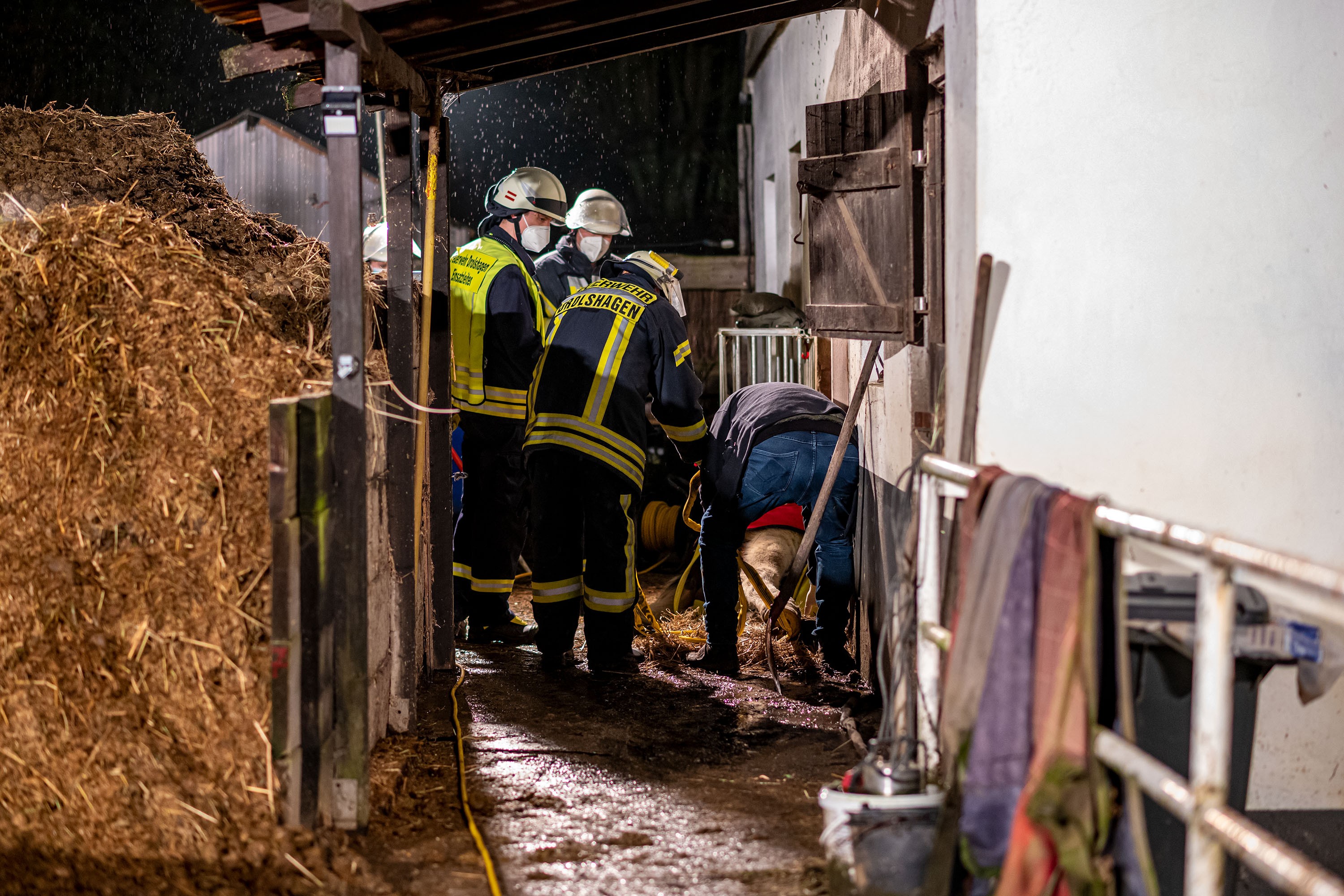Die Freiwillige Feuerwehr Drolshagen half dem gestürzten Pferd Atrax wieder auf die Beine, weil es sich nicht selbst aus seiner misslichen Lagen befreien konnte. von Markus Klümper