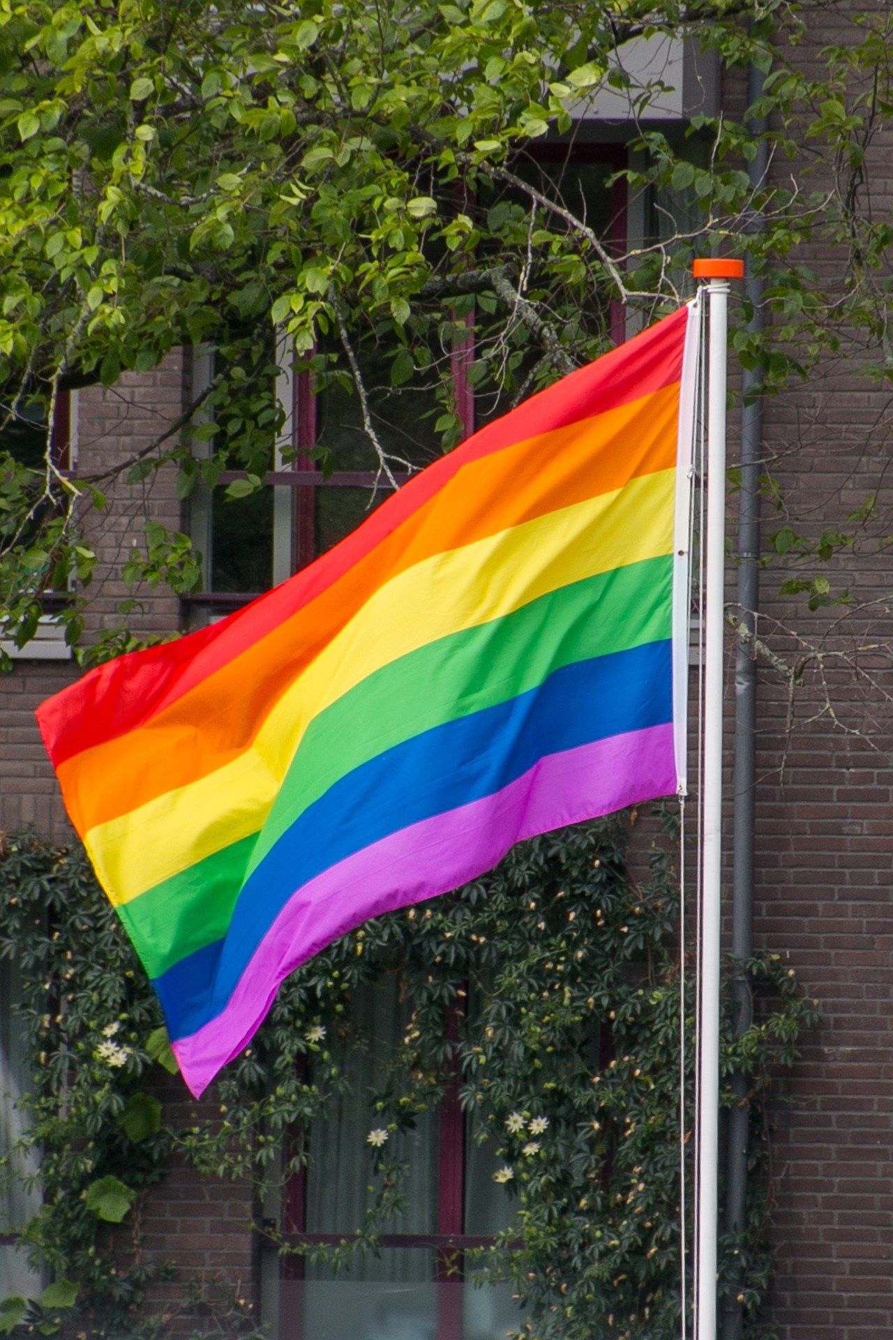 Die Regenbogenflagge wird als sichtbares Zeichengegen Ausgrenzung am Drolshagener und Kirchhundemer Rathaus sowie am Kreishaus gehisst. von Pixabay.com