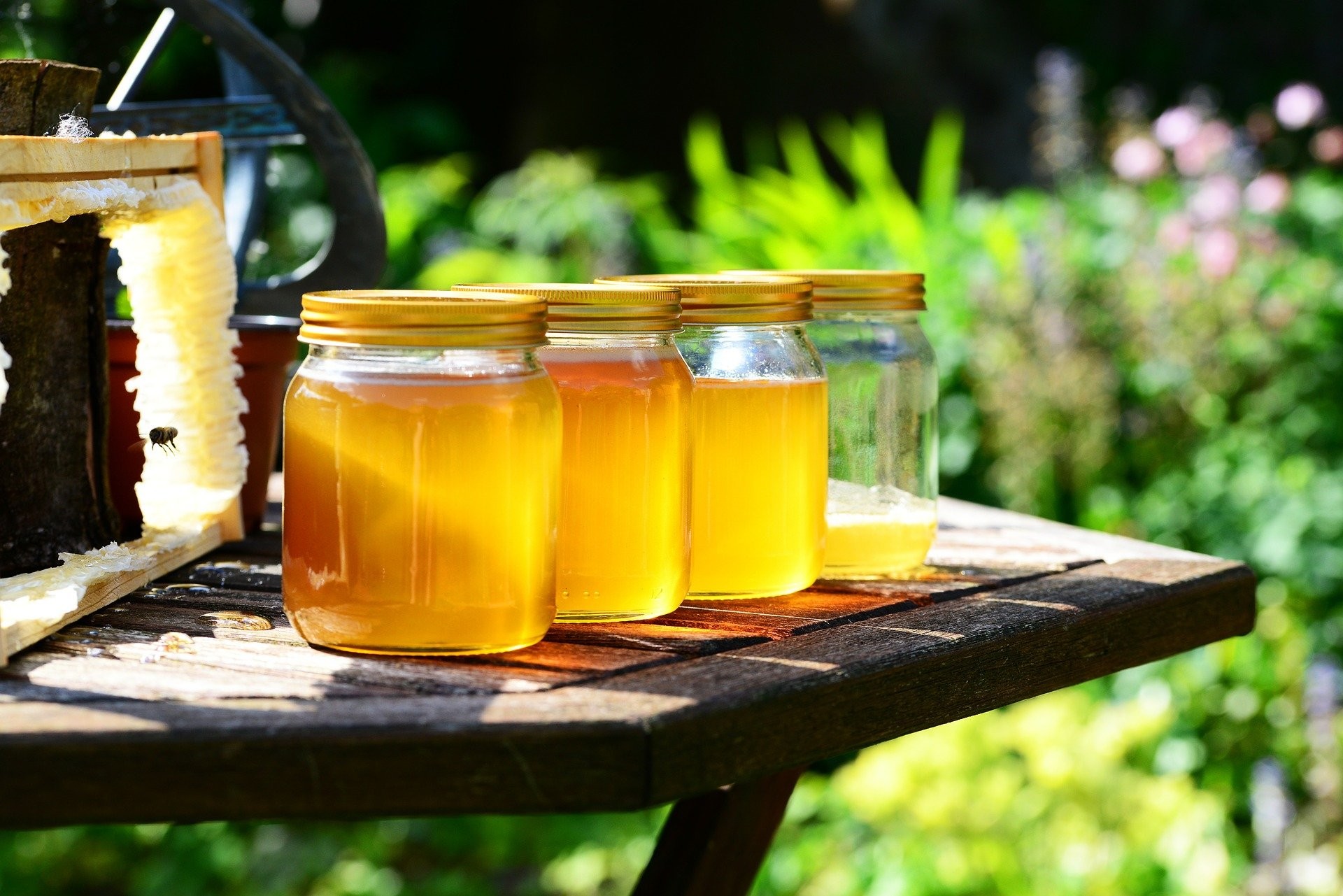 Der Honigertrag ist für die Imker zweitrangig. von Pixabay.com