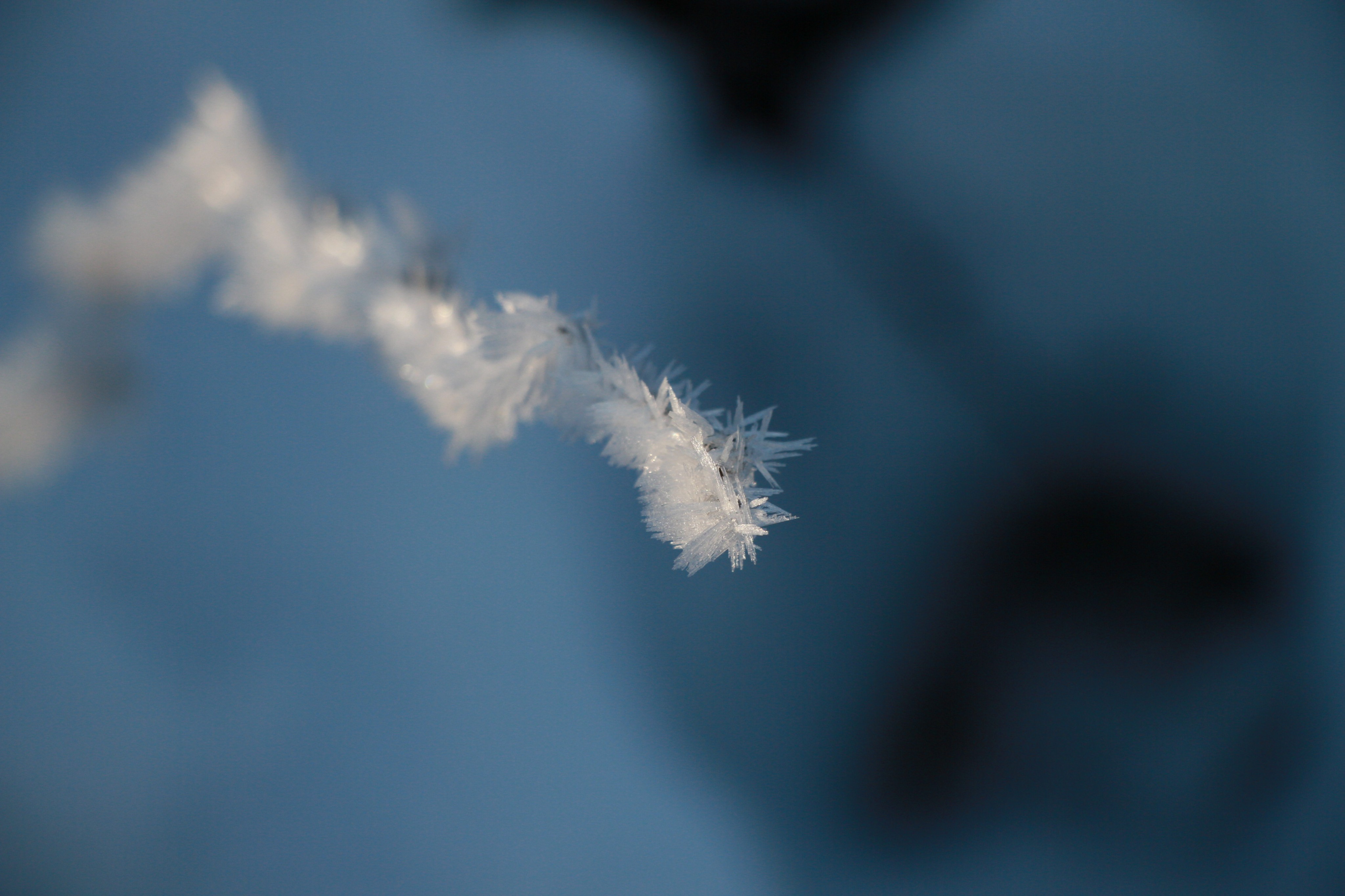 Es wird noch mal frostig und kalt. von Amy Gödde