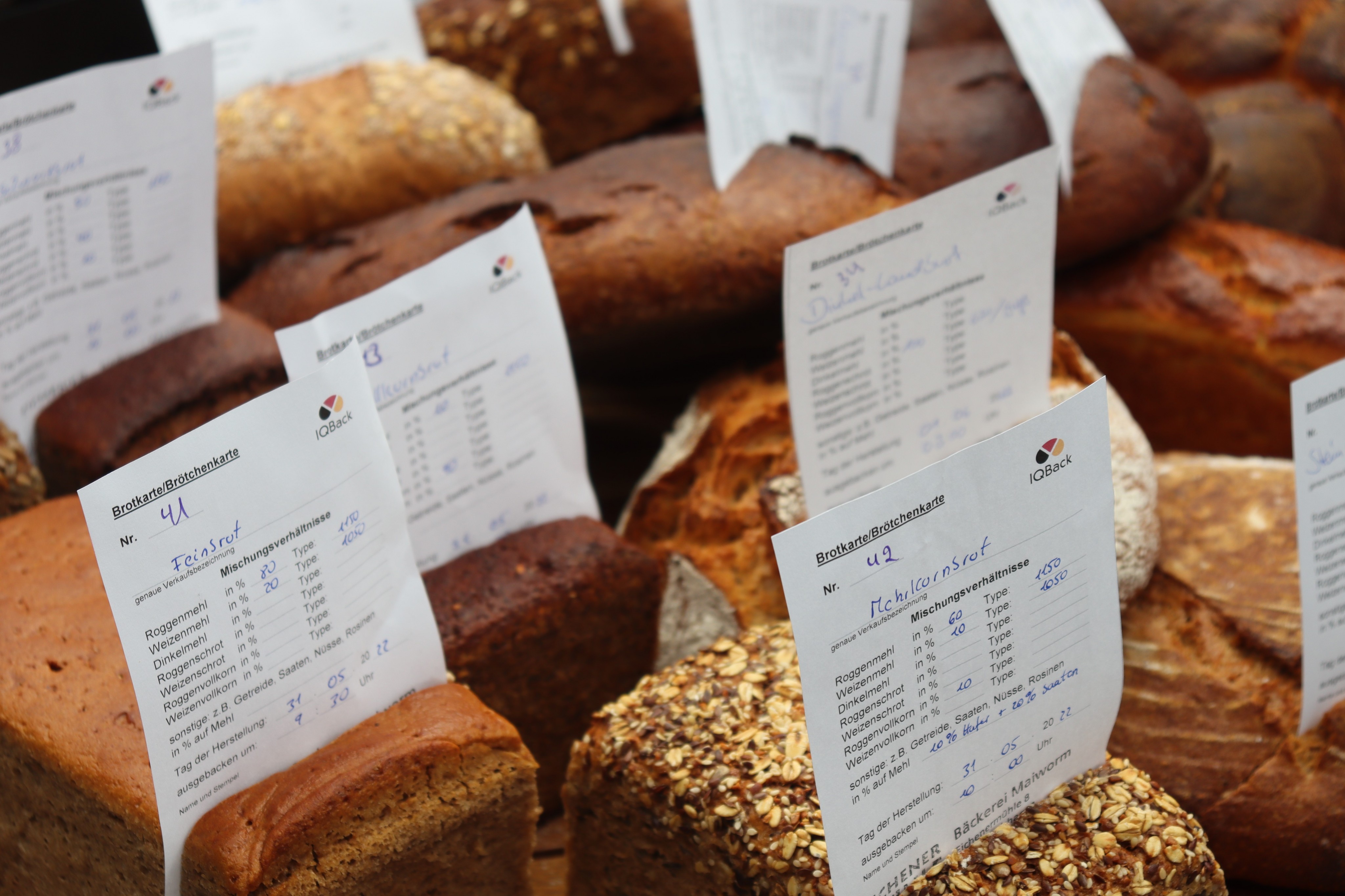 60 Brote von zehn Bäckerbetrieben waren auf dem Prüfstand. von Rebecca Dalhoff/Textwerk Attendorn