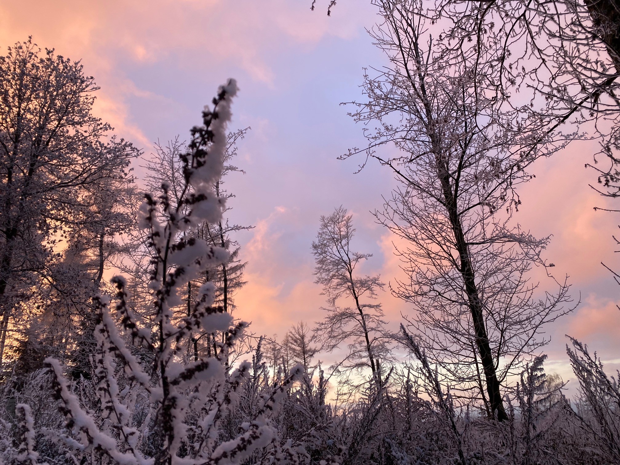 Der Begriff Yul bezeichnet das Winter-Sonnenwendfest. von Kerstin Sauer