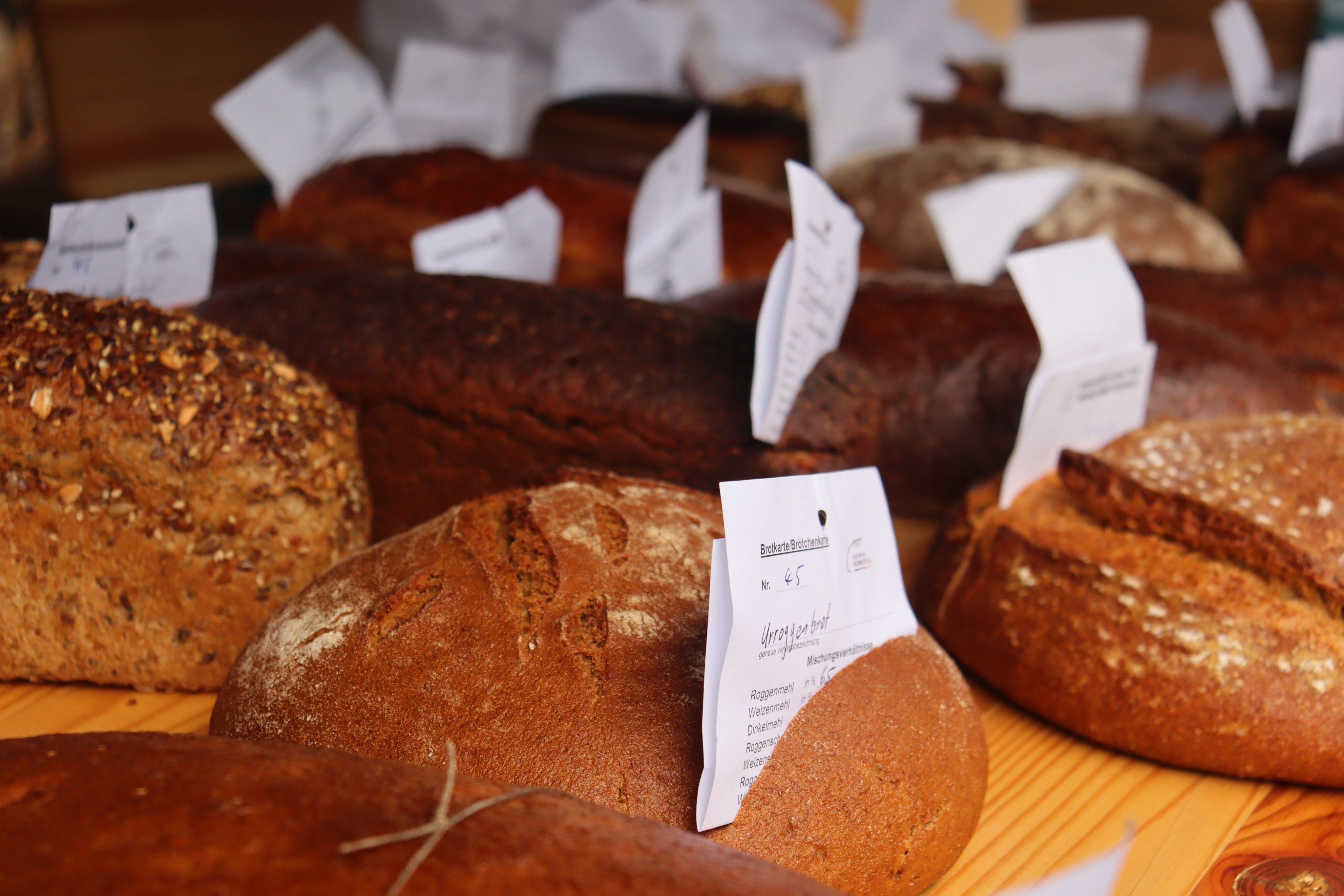 Insgesamt 75 verschiedene Brote wurden bewertet. von Rebecca Dalhoff | Textwerk Attendorn