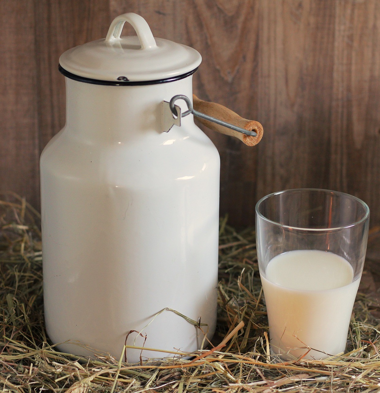 Eine Vision wäre es, dass die milch bereit steht und sich die Kinder einfach bedienen können. von Pixabay.com