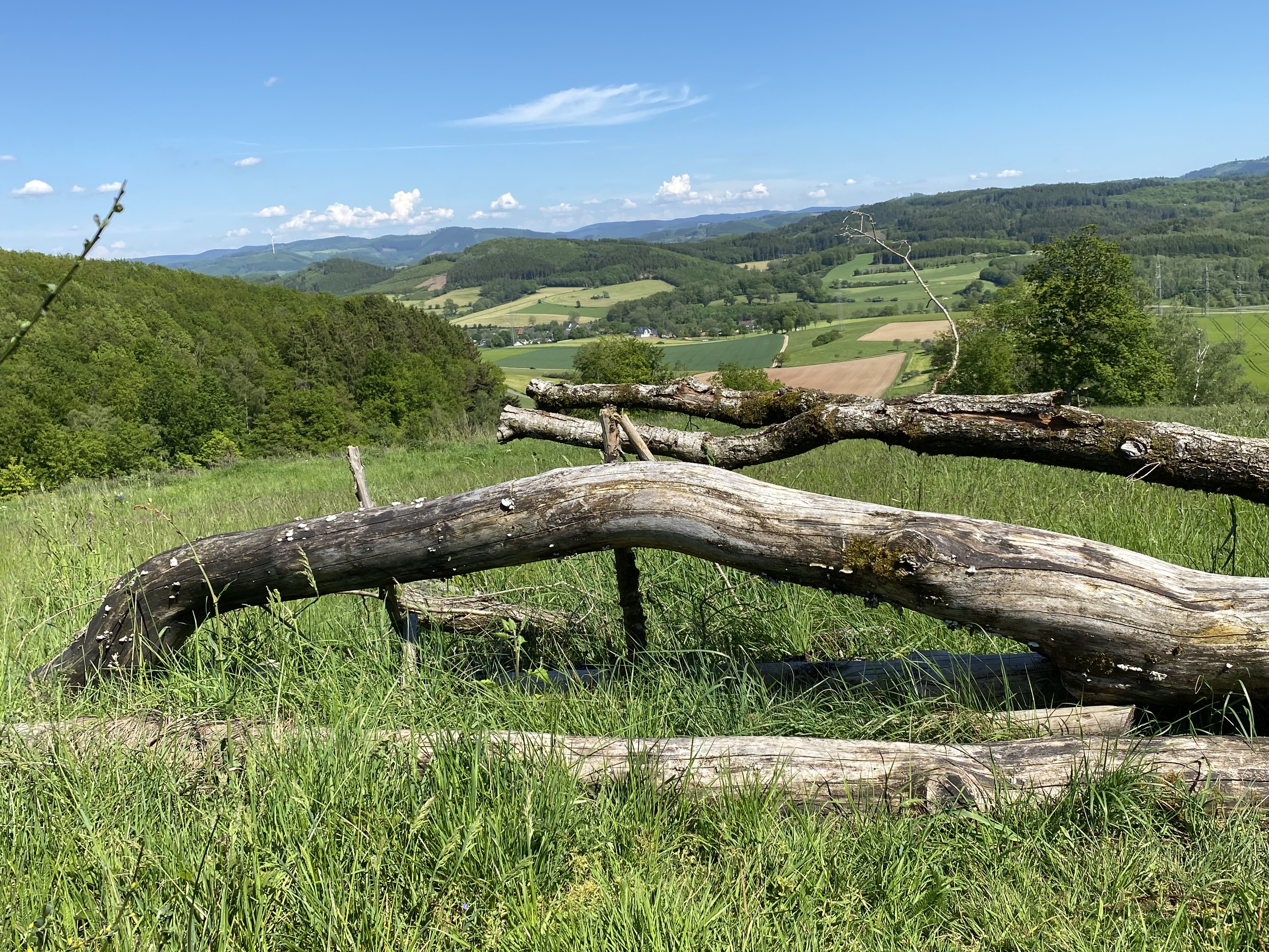 Oberhalb der Sonnalm in Helden mit Blick auf Niederhelden. von privat