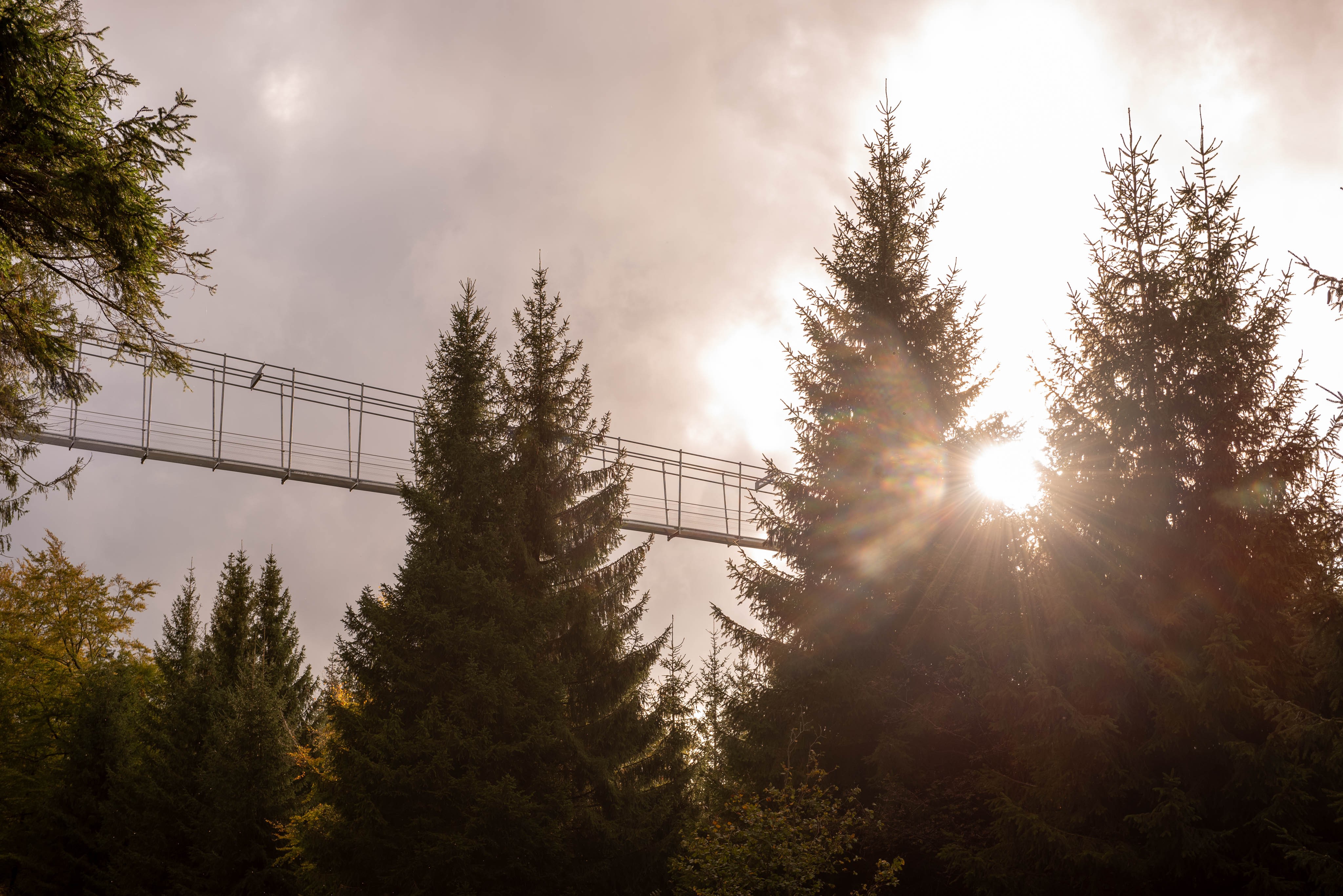 Die Übernachtungszahlen im Sauerland steigen wieder. Zunehmend soll bei Sauerland-Tourismus auch Nachhaltigkeit eine Rolle spielen. von Nils Dinkel