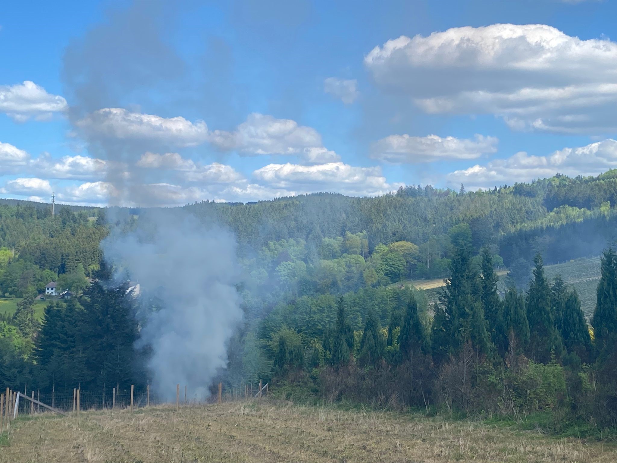 Archivfoto eines Waldbrandes in Rinsecke. von Evi Dümpelmann