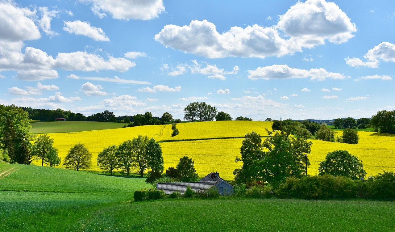 Der Hochsommer kommt vorbei. von Pixabay.com