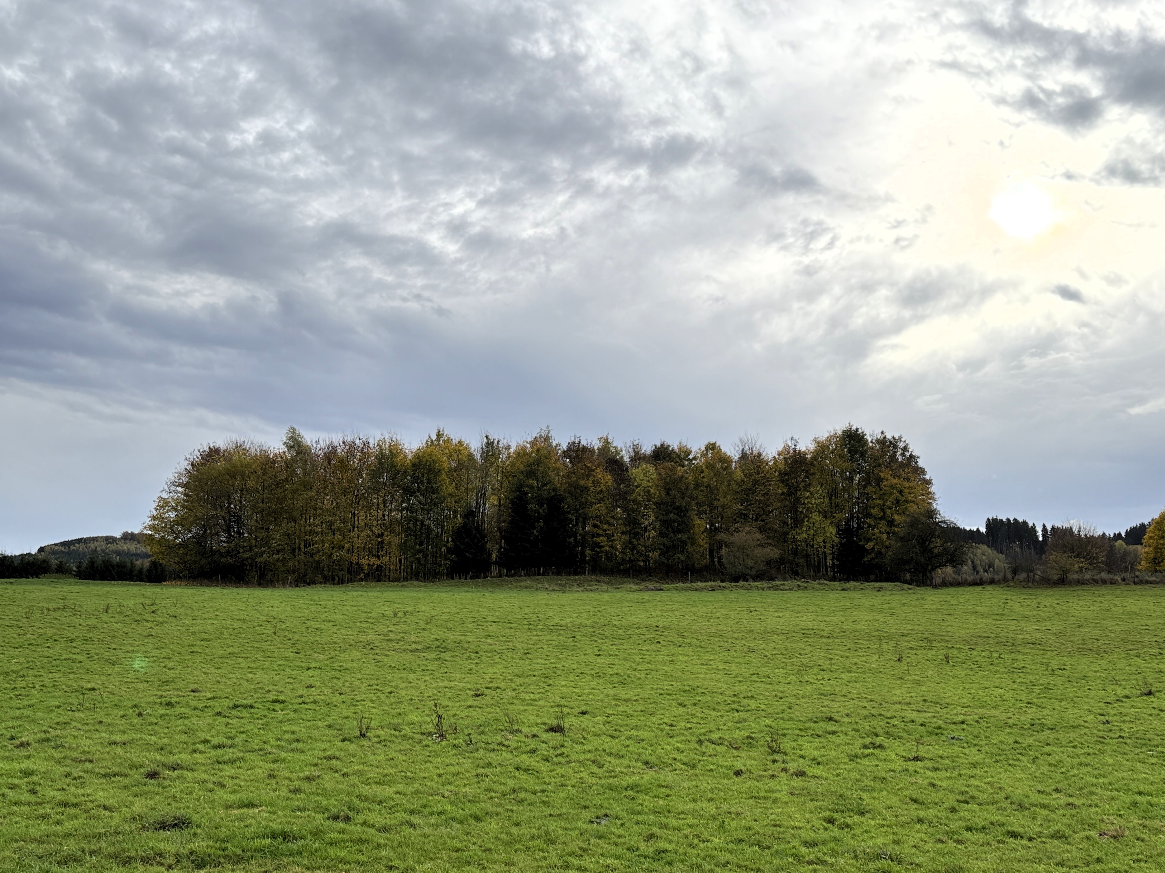 Am Freitag ist es bewölkt, die Sonne zeigt sich zeitweise und es bleibt meist frostfrei. von Claudia Wichtmann