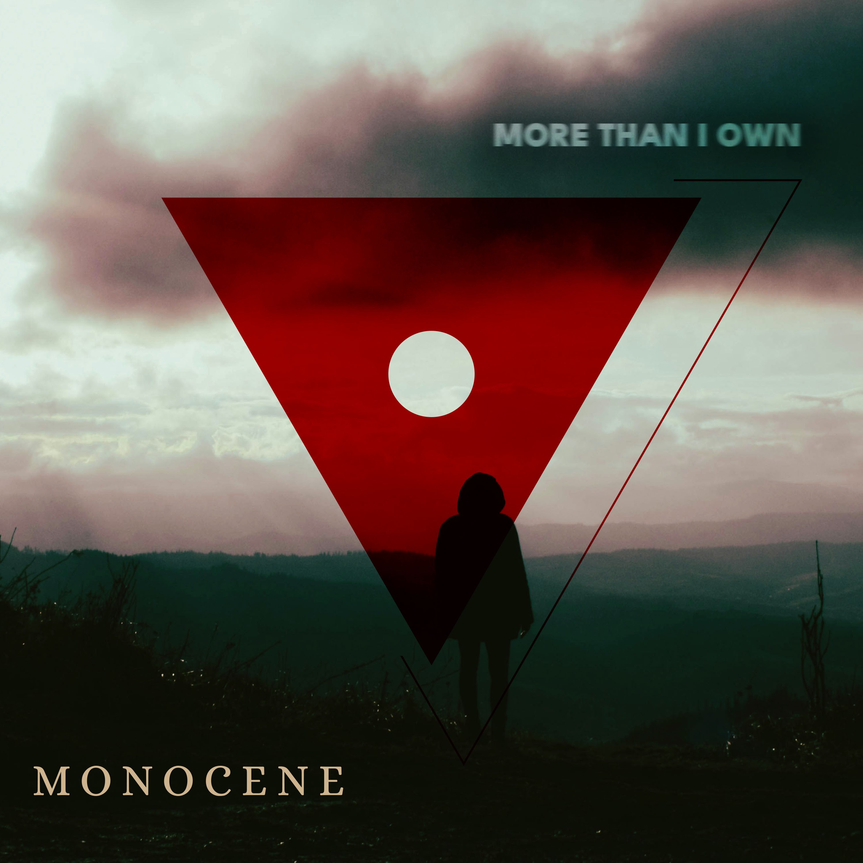Das erste Studioalbum der heimischen Formation monocene: „More Than I Own“. von privat