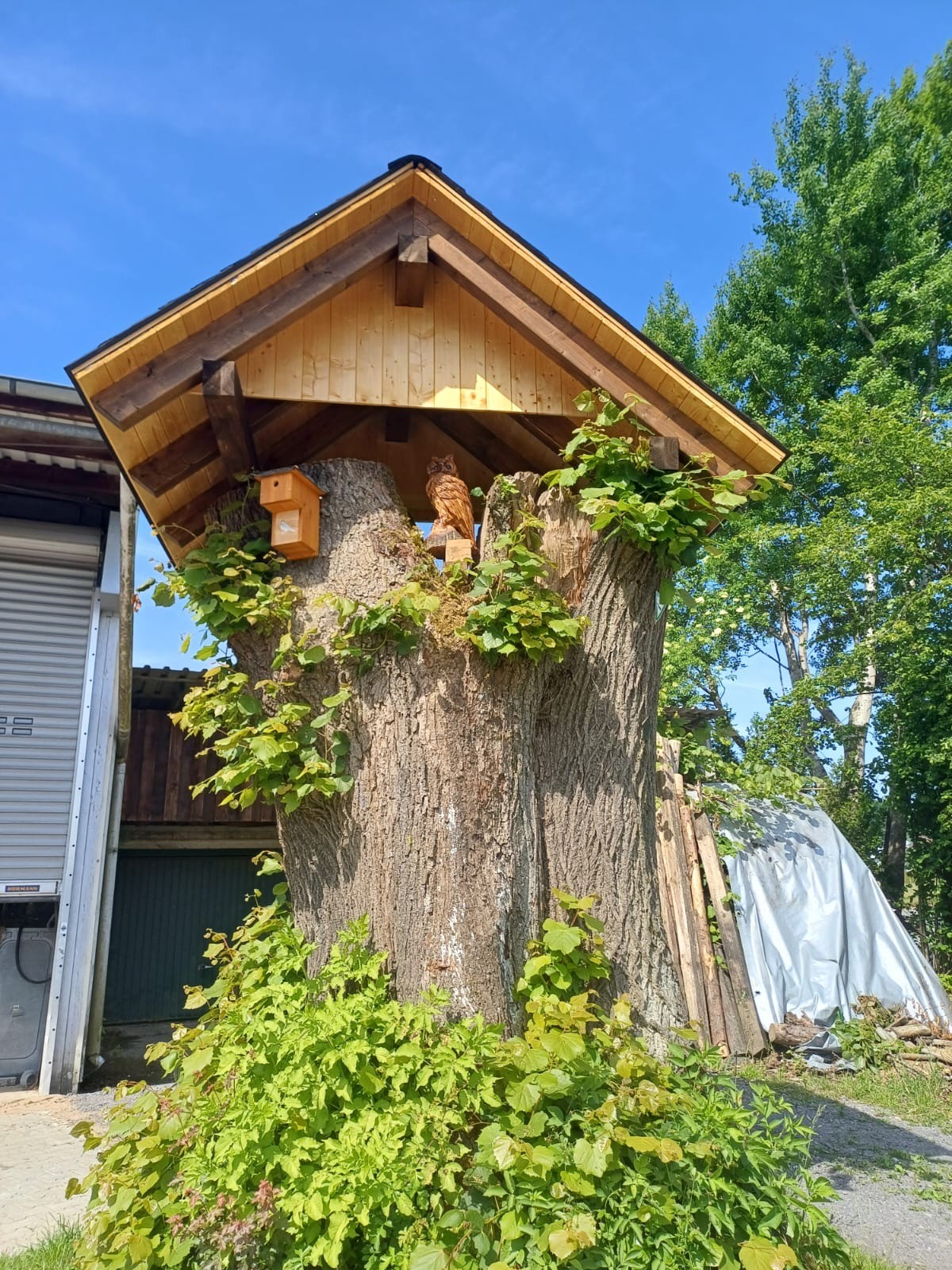 Der Rest der Linde ist auf gelungene Weise immer noch ein Blickfang. von privat