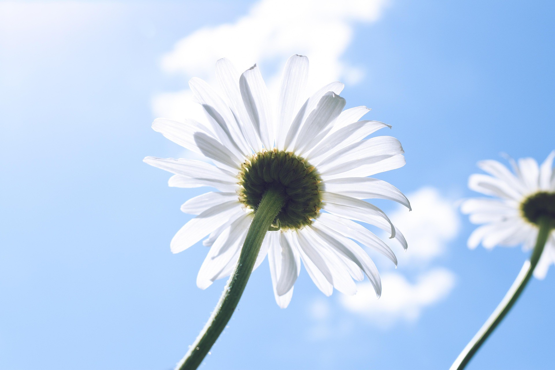 Symbolfoto von Pixabay.com