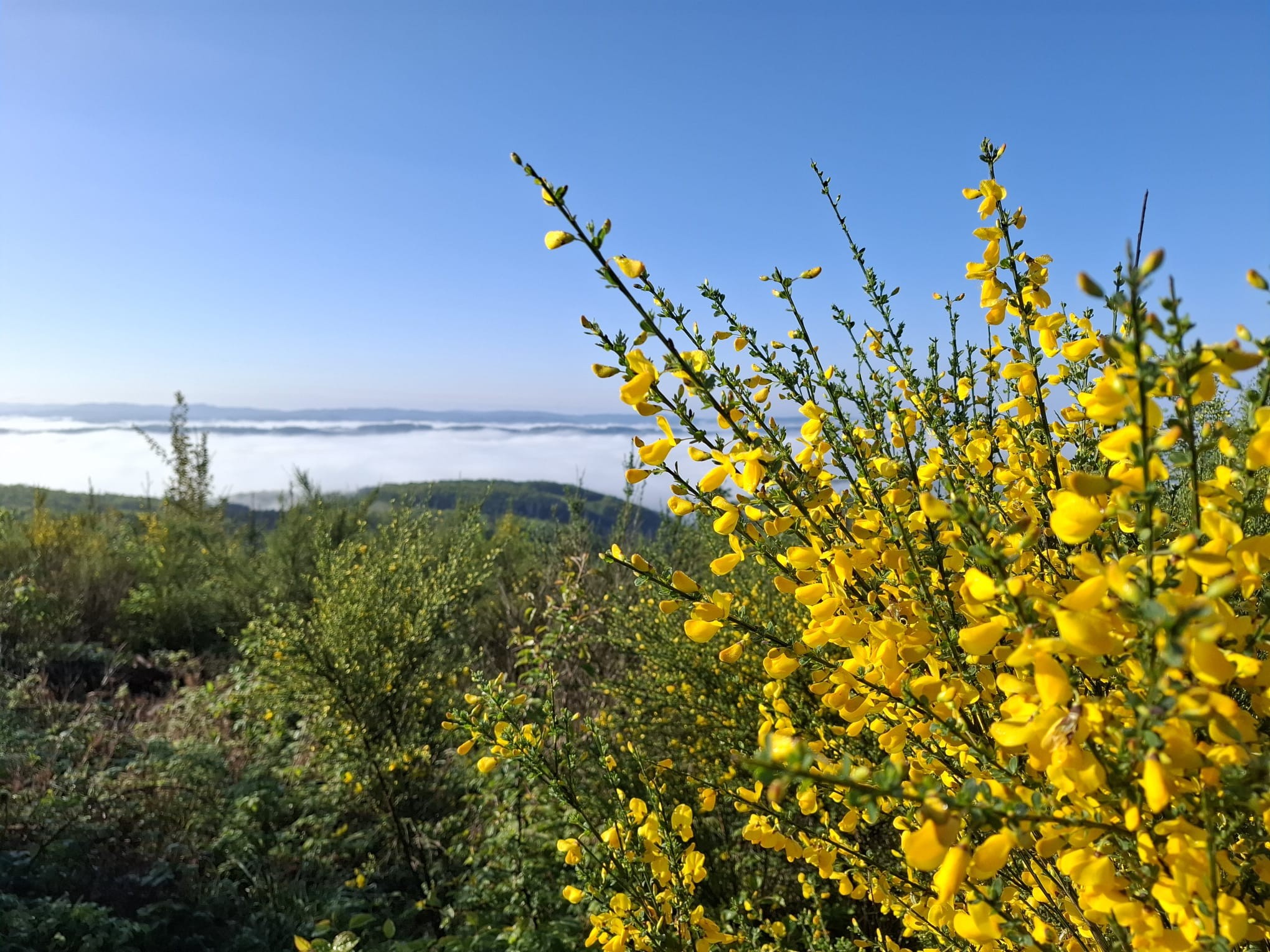 Durchschnittlich sommerliche Temperaturen werden für die nächste Woche erwartet. von Dagmar von Alt