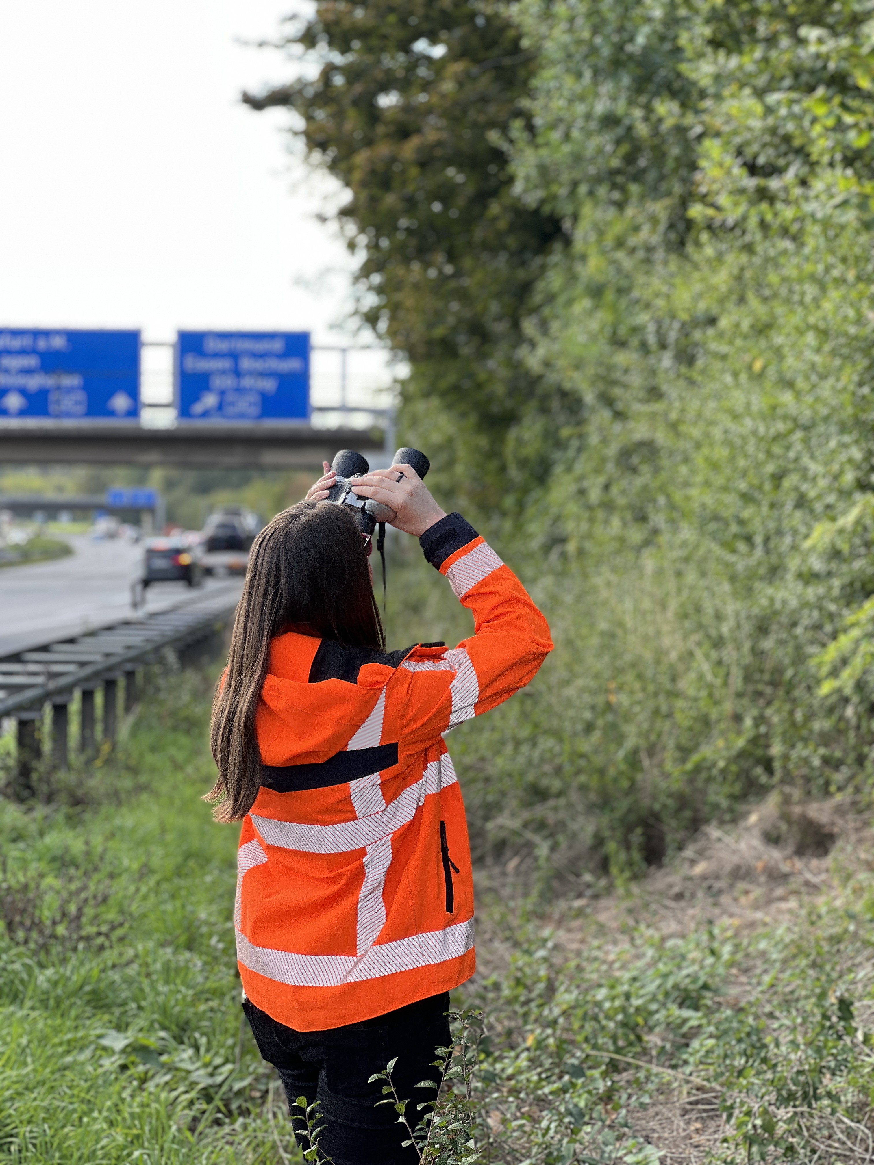 Müssen Bäume außerhalb der Gehölzpflegesaison gefällt werden, wird vorher kontrolliert, ob dort Vögel oder Fledermäuse nisten. von Autobahn Westfalen