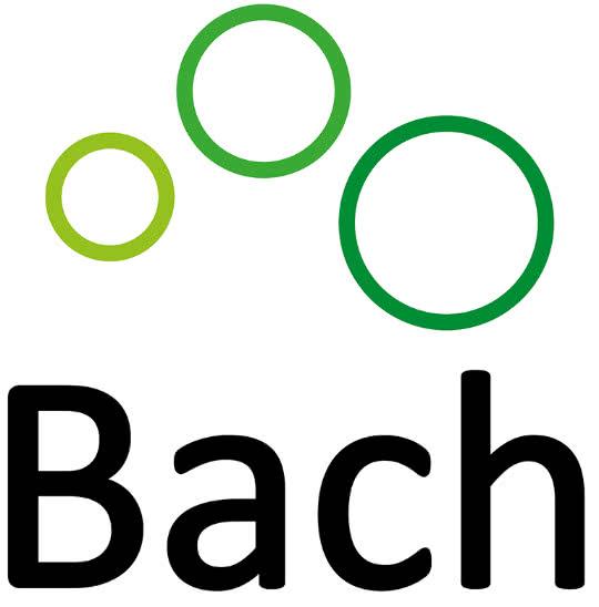 Logo Wäscherei und Heißmangel Bach